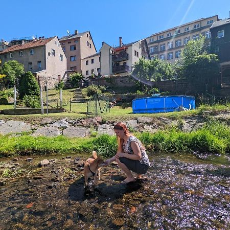 Urlaubstraum Mit Pool, Terrasse & Fluss Im Garten - Ut Apartment Sebnitz Exterior foto