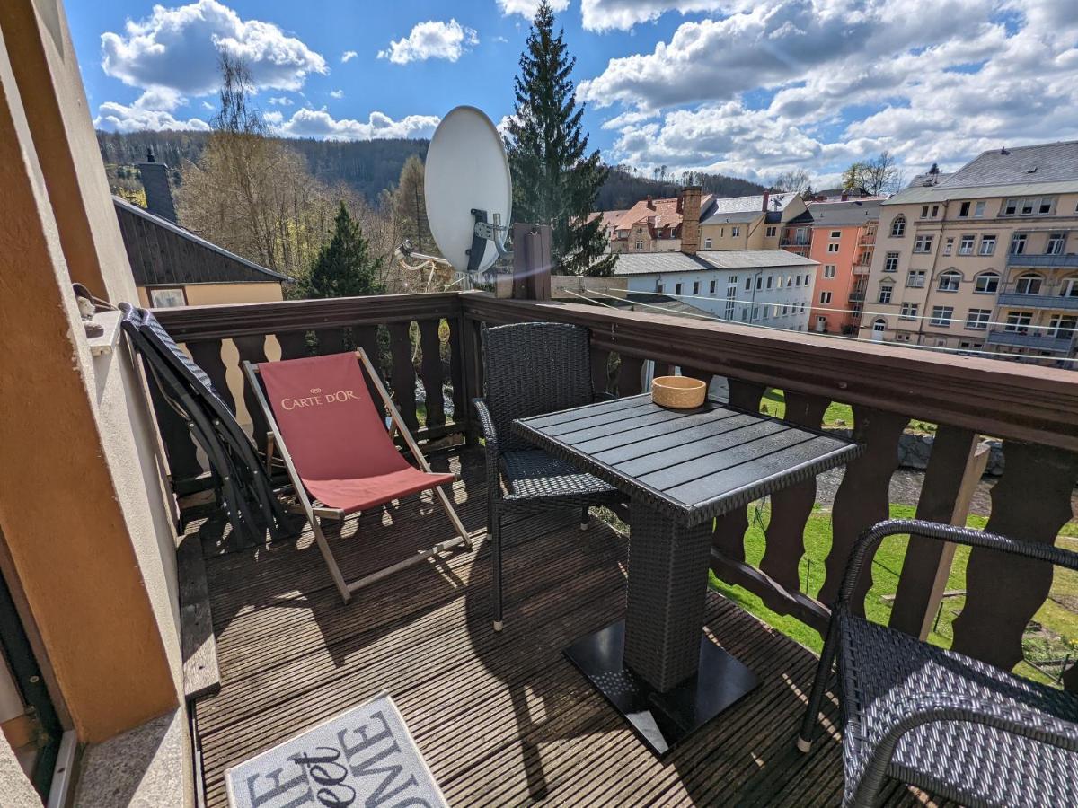 Urlaubstraum Mit Pool, Terrasse & Fluss Im Garten - Ut Apartment Sebnitz Exterior foto