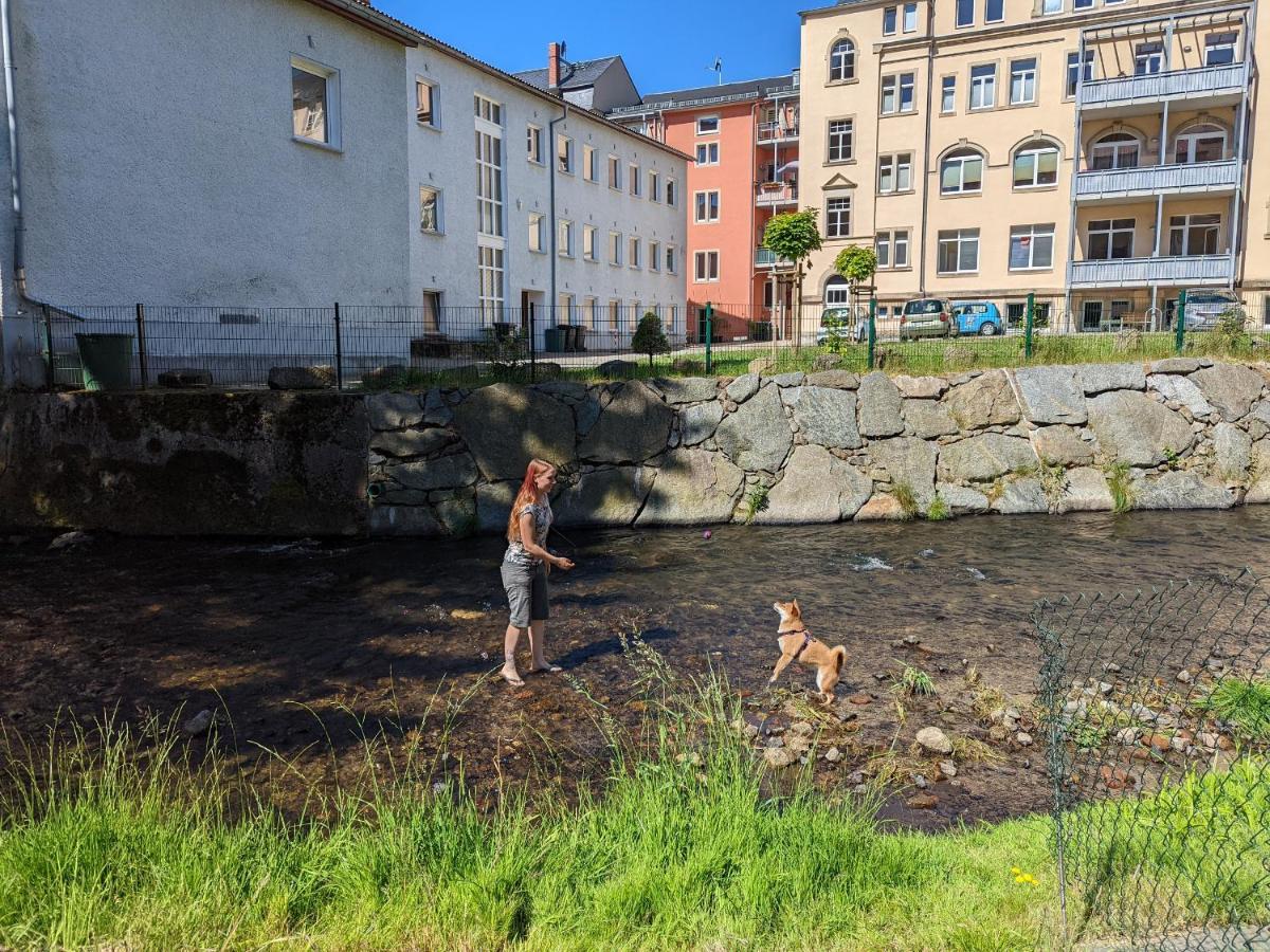 Urlaubstraum Mit Pool, Terrasse & Fluss Im Garten - Ut Apartment Sebnitz Exterior foto