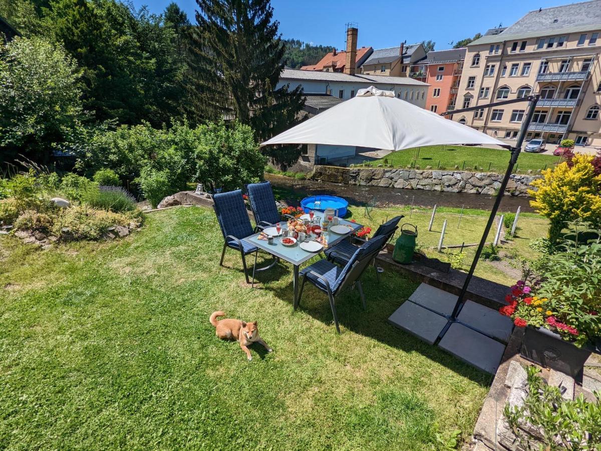 Urlaubstraum Mit Pool, Terrasse & Fluss Im Garten - Ut Apartment Sebnitz Exterior foto