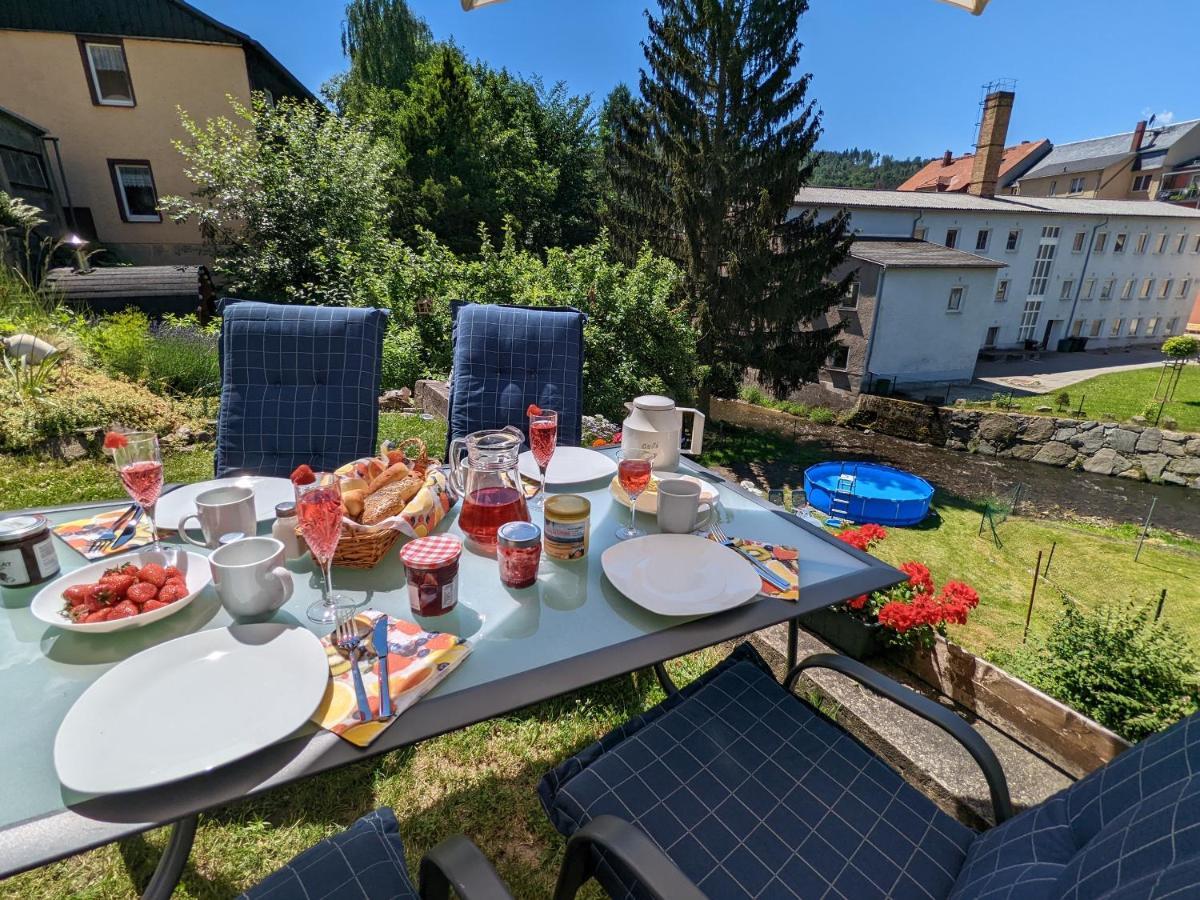 Urlaubstraum Mit Pool, Terrasse & Fluss Im Garten - Ut Apartment Sebnitz Exterior foto