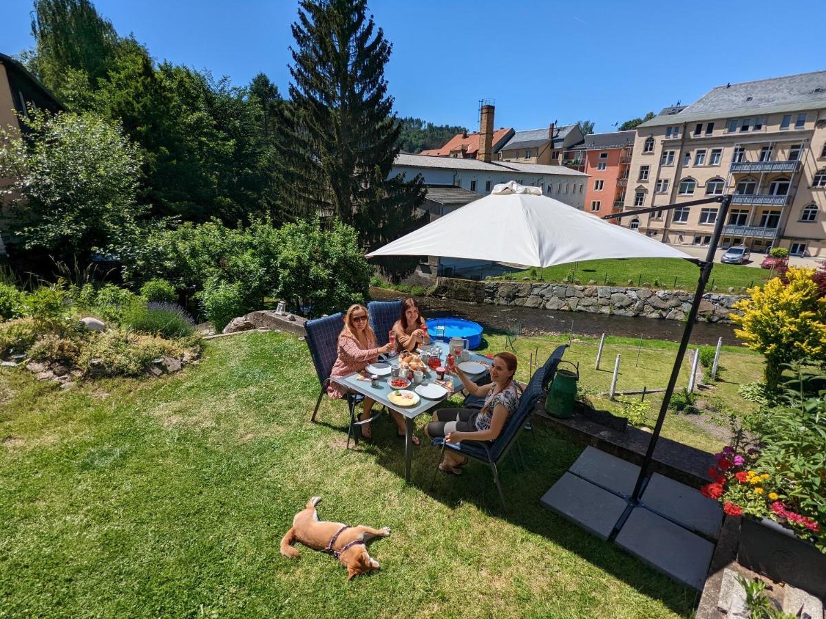 Urlaubstraum Mit Pool, Terrasse & Fluss Im Garten - Ut Apartment Sebnitz Exterior foto